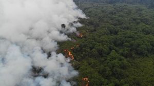 Antisipasi Karhutla 2023, Lakukan Audit Kepatuhan Perusahaan di Gambut 